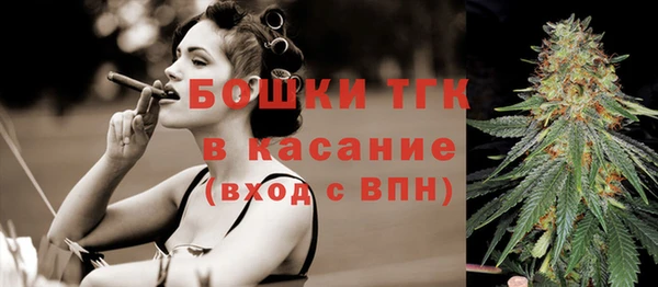 стаф Михайловск