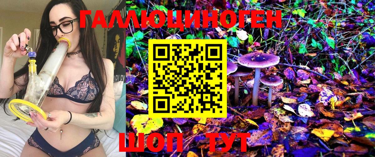 Псилоцибиновые грибы Cubensis  Камышлов 