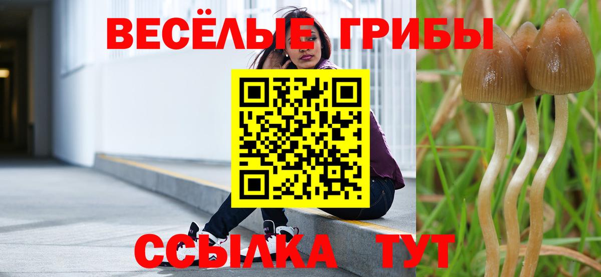 Камышлов  Псилоцибиновые грибы мухоморы  Вход с VPN  Псилоцибиновые грибы мухоморы 